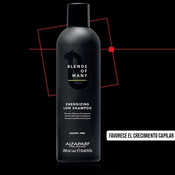 Imagen de Shampoo Alfaparf Blends Of Many Para Hombre 250 Ml