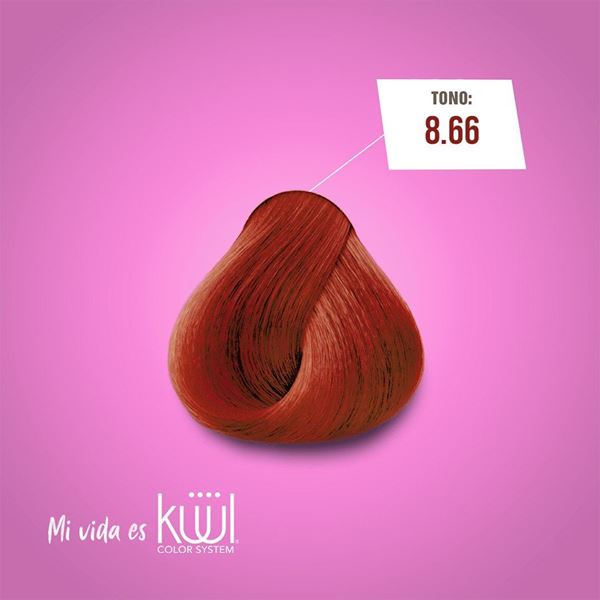 Imagen de Tinta Kuul N°8.66 Con Aceite De Coco + Oxidante Activador