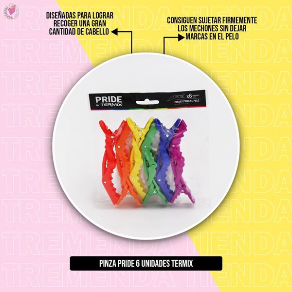 Imagen de Set 6 Pinzas Termix Pride De Plastico Colores Peluqueria
