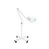 Imagen de Lampara Lupa Para Estetica Luz Fria 36W Con Brazo Articulado
