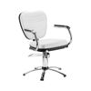 Imagen de Silla Sillón Peluqueria Barbería Fija Top Perla Dompel