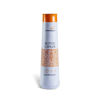 Imagen de Botox Capilar Andiroba Oil Paso 1 Shampoo 500ml