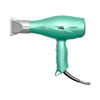 Imagen de Secador De Pelo Profesional Taiff Fox 3 Soft Green 2200W