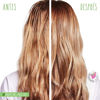 Imagen de Acondicionador Matrix Cabello Teñido Biolage 1 Litro
