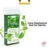 Imagen de Cera Depilatoria Depilflax Roll On Menta Refrescante 100gr