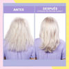 Imagen de Shampoo Matrix Unbreak My Blonde Con Ácido Citrico 300ml