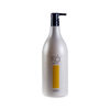Imagen de Emulsion Post Progresivo Andiroba Kakawa 1500ml