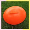 Imagen de Boya Inflable Con Cinto Para Nadar Surfear Snorkel 50x40cm