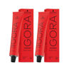 Imagen de Pack 2 Tintas Schwarzkopf Igora Royal 60gr Tonos A Elección