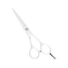 Imagen de Tijera Filo Dulce Profesional Razorline Rk022wh 5,5 Pulgadas