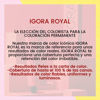 Imagen de Tinta Permanente Schwarzkopf Igora Royal Tono 9-00 60gr
