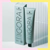 Imagen de Tinta Permanente Schwarzkopf Igora Royal Highlifts 12-49 60gr