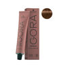 Imagen de Tinta Permanente Schwarzkopf Igora Color10 Tono 6-65 60gr
