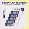 Imagen de Tinta Permanente Alfaparf Evolution Of The Color N° 11.11 60ml