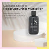Imagen de Multiplicador De Reestructuración Celulas Madre Alfaparf 150ml