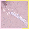 Imagen de Esmalte De Uñas Gel Semipermanente Bluesky BGR05 5ml