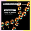Imagen de Pack Loreal Absolut Repair Molecular Shampoo + Crema Sin Enjugue + Serum