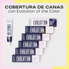 Imagen de Tinta Permanente Alfaparf Evolution Of The Color N° 9.2 60ml